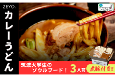 筑波大学生のソウルフード!  ZEYO.のカレーうどん 3人前(煮豚付き)【 カレーうどん カレー うどん ソウルフード 人気 煮豚 カレールー 茨城県 つくば市 】 