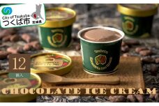 チョコレートアイスクリーム ( 122ml × 12個 )＜離島・沖縄配送不可＞【 アイスクリーム チョコレート アイス チョコレートアイス チョコアイス 小分け チョコ スイーツ 茨城県 つくば市 】