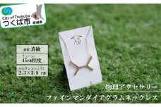 物理アクセサリー「ファインマンダイアグラムネックレス」【アクセサリー ネックレス ファッション ファイマンダイアグラム 図 量子論 科学 物理 物理アクセサリー おしゃれ ファッションアイテム プレゼント】