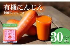 ベルファームつくばのにんじんジュース 100% 100g × 30袋 ＜離島・沖縄配送不可＞【 茨城県 つくば市 にんじん ニンジン 人参 ジュース 健康 無農薬 新鮮 オーガニック フレッシュジュース 無添加 】