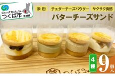 つくばsweetsのつくばバターチーズサンド 9個セット ( 4種 ) ＜離島・沖縄配送不可＞【 スイーツ 甘味 デザート バター チーズ 米粉 バレンタイン ホワイトデー クッキー 茨城県 つくば市 】
