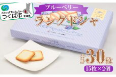 つくば藍菓ブルーベリーラングドシャ 15枚 × 2個 【 ブルーベリー ラングドシャ お菓子 おかし ベリー 菓子 ティータイム ブルーベリーラングドシャ チョコレート チョコ 茨城県 つくば市 】