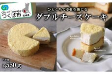 チーズスイーツ工房のダブルチーズケーキ ＜離島・沖縄配送不可＞【 チーズケーキ ケーキ スイーツ チーズ ベイクド レア ダブル スチーム 独自製法 茨城県産 濃厚 おやつ 人気 おすすめ 茨城県 つくば市 】