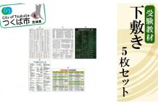 受験教材下敷き 5枚セット【 下敷き 文房具 教材 ツール 高校受験 暗記 記憶 視覚 勉強 学習 受験 テスト 試験 隙間時間 中学生 理科 国語 数学 歴史 英語 5教科 セット フライング・エッグ 人気 おすすめ 】