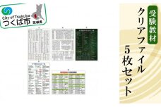 受験教材クリアファイル 5枚セット【 クリアファイル 文房具 教材 ツール 高校受験 暗記 記憶 視覚 勉強 学習 受験 テスト 試験 隙間時間 中学生 理科 国語 数学 歴史 英語 5教科 セット フライング・エッグ 人気 おすすめ 】