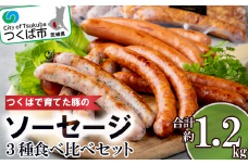 つくばで育てた豚のソーセージ３種食べ比べセット【 豚肉 おつまみ 肉 加工品 ウインナー ハム あらびき 粗びき ハーブ 茨城県 つくば市 冷蔵 セット ポーク 手作り 】