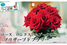 ローズ ロングステムブーケ(プリザーブドフラワー)【 バラ プリザーブドフラワー ダイヤモンドローズ フラワー 花 お花 薔薇 ギフト 贈答 プレゼント おしゃれ アクアブルーム 茨城県 つくば市 】
