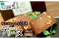 チョコレートとくるみのテリーヌ 7 枚入りセット【 スイーツ チョコ チョコレート テリーヌ くるみ 甘い バレンタイン ホワイトデー デザート 濃厚 】