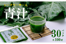 青汁シークワーサー入り 100g × 30 パック ＜離島・沖縄配送不可＞【 茨城県 つくば市 飲料 ドリンク あおじる 青汁 健康  無添加 有機ケール オーガニックケール 】