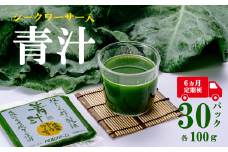 青汁シークワーサー入り 100g × 30 パック 【 6 ヵ月定期便 】＜離島・沖縄配送不可＞【 茨城県 つくば市 飲料 ドリンク あおじる 青汁 健康  無添加 有機ケール オーガニックケール 】
