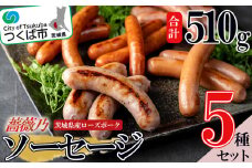 薔薇乃 ソーセージ 5種セット 【 ソーセージ 詰め合わせ 食べ比べ 豚肉 ローズポーク おかず おつまみ ビール 惣菜 ポークソーセージ セット 酒のつまみ 】