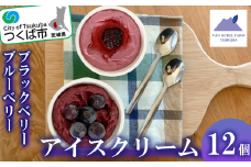 【 茨城県 つくば市産 ブルーベリー 使用 】 フローズンヨーグルトアイスセット（ 12個 ）【 ブルーベリー 国産 ベリー スイーツ アイス ジェラート ヨーグルト 果物 】