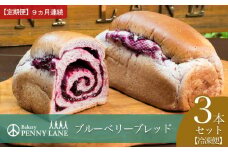 【9ヵ月定期便】ペニーレインのブルーベリーブレッド3本セット【 パン 冷凍 人気 菓子パン パン屋 茨城県 つくば市 ブルーベリー ブルーベリージャム ブルーベリーソース 冷凍パン お取り寄せ おやつ 朝食 ベーカリー グルメ プレゼント 定期便 冷凍便 】