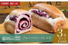 【隔月3回配送定期便】ペニーレインのブルーベリーブレッド3本セット【 パン 冷凍 人気 菓子パン パン屋 茨城県 つくば市 ブルーベリー ブルーベリージャム ブルーベリーソース 冷凍パン お取り寄せ おやつ 朝食 ベーカリー グルメ プレゼント 定期便 冷凍便 】