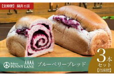 【隔月6回配送定期便】ペニーレインのブルーベリーブレッド3本セット【 パン 冷凍 人気 菓子パン パン屋 茨城県 つくば市 ブルーベリー ブルーベリージャム ブルーベリーソース 冷凍パン お取り寄せ おやつ 朝食 ベーカリー グルメ プレゼント 定期便 冷凍便 】