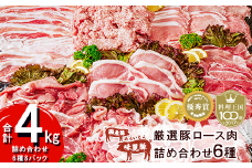 ブランド豚 コンテスト優秀賞受賞 みらい豚 ・ 厳選豚ロース肉 詰め合わせ 4kg 【 豚肉 豚 小分け パック 薄切り 冷凍 ロースバラ モモ 豚バラ 豚しゃぶ 豚バラスライス 挽肉 しゃぶしゃぶ 肉 豚肉切り落とし ブランド豚肉 詰め合わせ 6種 とんかつ 生姜焼き 】