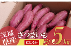 【先行予約 2025年9月～順次発送】さつまいも 5kg　(紅はるか)【 茨城県 つくば市 芋 さつま芋 蜜いも 焼き芋 シルク 紅はるか しっとり 高糖度 先行予約 甘藷 】