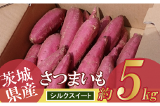 【先行予約 2025年9月～順次発送】さつまいも 5kg　(シルクスイート)【 茨城県 つくば市 芋 さつま芋 蜜いも 焼き芋 はるか しっとり食感 高糖度 甘藷 】