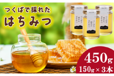 つくばで採れたはちみつ 150g × 3 本【 茨城県 つくば市 はちみつ ハチミツ 蜂蜜 蜜蜂 みつばち ミツバチ 養蜂 】