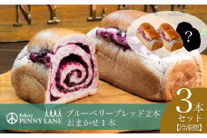 ペニーレインのブルーベリーブレッド2 本＋ おまかせ 1本セット【 パン 冷凍 人気 パン屋 茨城県 つくば市 ブルーベリー 冷凍パン お取り寄せ ベーカリー グルメ プレゼント 冷凍便 詰め合わせ セット 】