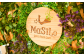 MaSiLo cafeのラザニアはイタリアで修業したシェフが作る本場の味