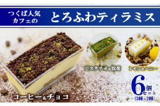 つくば人気カフェのとろふわティラミス 6個セット ( 3種 × 2個 ) 【 茨城県 つくば市 冷凍 本格 贅沢 ご褒美 ティラミス 洋菓子 人気 ギフト シェフ パティシエ ケーキ スイーツ デザート バレンタイン ホワイトデー イタリア カフェ コーヒー カカオ レモン ピスタチオ 】