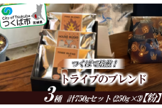 つくばで焙煎！トライブのブレンド3種 計750gセット(250g×3)[粉]