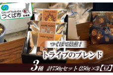 つくばで焙煎！トライブのブレンド3種 計750gセット(250g×3)[豆]