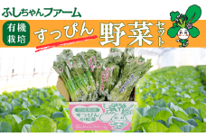 すっぴん有機やさいセット ( 小松菜 ・ 水菜 ・ ロメインレタス )【 茨城県 つくば市 小松菜 ロメインレタス 水菜 鍋 鍋もの 野菜 ベジタブル 有機野菜 有機栽培 無農薬 有機農業 オーガニック 自然 希少 】