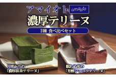 アマイオトのテリーヌ2種セット（ショコラテリーヌ、抹茶テリーヌ）【 テリーヌ ショコラ スイーツ お菓子 チョコレート プレゼント ギフト バレンタイン ホワイトデー 贈答 デザート お取り寄せ 茨城県 つくば市 】