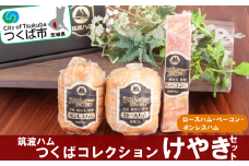 筑波ハム つくばコレクション けやきセット（ ボンレスハム ベーコン ロースハム ）【 豚肉 豚 ぶた肉 ポーク ハム はむ ロースハム ベーコン ボンレスハム 茨城県産 国産 つくば市 詰め合わせ お中元 お歳暮 】