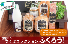 筑波ハム つくばコレクション ふくろうセット（ ボンレスハム ベーコン ロースハム スモークササミ つくばヨーグルト クリームチーズ ）【 豚肉 豚 ぶた肉 ポーク ベーコン ハムロース ハム 燻製 スモーク ササミ 金賞 チーズ クリームチーズ ヨーグルト 茨城県産 国産 つくば市 詰め合わせ お中元 お歳暮 】