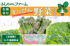 【 3ヵ月定期便 】すっぴん有機やさいセット ( 小松菜 ・ 水菜 ・ ロメインレタス )【 茨城県 つくば市 定期 定期便 小松菜 ロメインレタス 水菜 鍋 鍋もの 野菜 やさい ベジタブル 有機野菜 有機栽培 無農薬 有機農業 オーガニック 自然 希少 3回 詰め合わせ 】