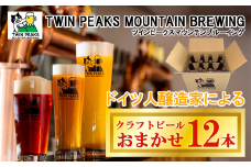 Twin Peaks Mountain Brewingのクラフトビールおまかせ 12本セット【 つくば市 ふるさと納税 クラフトビール ビール お酒 酒 麦酒 地ビール ドイツ ドイツビール 飲み比べ 】