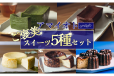 アマイオトのごほうびスイーツ 5種セット（ホワイト生チーズケーキ、ブラウンバスクチーズケーキ、ショコラテリーヌ、抹茶テリーヌ、カヌレ）【 テリーヌ チーズケーキ カヌレ ショコラ チョコ チョコレート 抹茶 バスクチーズケーキ 濃厚 ケーキ 甘味 焼き菓子 スイーツ バレンタイン ホワイトデー サクサク しっとり ご褒美 デザート お取り寄せ 茨城県 食べ比べ 5種 記念日 誕生日 つくば市 】