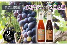 つくば市 筑波山麓産 ぶどうジュース ２本セット ビーズニーズヴィンヤーズ／Bee's Knees Vineyards 【 ジュース ストレート 100％ ぶどう ブドウ 白ぶどう 黒ぶどう ワイン専用ブドウ品種 果物 フルーツ 国産 つくば市産 茨城県産 飲み物 飲料 セット 子供 おやつ 人気 おすすめ 茨城県 つくば市 】