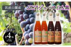 つくば市 筑波山麓産 ぶどうジュース ４本セット ビーズニーズヴィンヤーズ／Bee's Knees Vineyards 【 ジュース ストレート 100％ ぶどう ブドウ 白ぶどう 黒ぶどう ワイン専用ブドウ品種 果物 フルーツ 国産 つくば市産 茨城県産 飲み物 飲料 セット おやつ 子供 人気 おすすめ 茨城県 つくば市 】
