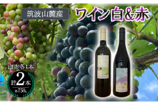 つくば市 筑波山麓産ワイン２本セット ビーズニーズヴィンヤーズ／Bee's Knees Vineyards【 ワイン お酒 酒 果実酒 ブドウ 白ワイン 赤ワイン 日本ワイン 国産ワイン ワイン専用ブドウ品種  国産 つくば市産 茨城県産 飲み物 飲料 セット 人気 おすすめ 茨城県 つくば市 】