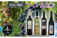 つくば市 筑波山麓産ワイン4本セット ビーズニーズヴィンヤーズ／Bee's Knees Vineyards【 ワイン お酒 酒 果実酒 ブドウ 白ワイン 赤ワイン 日本ワイン 国産ワイン ワイン専用ブドウ品種  国産 つくば市産 茨城県産 飲み物 飲料 セット 人気 おすすめ 茨城県 つくば市 】