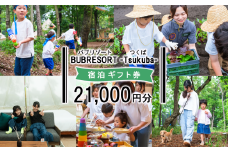 【ふるさとeチケット】 BUB RESORT Tsukuba 利用クーポン券 ( 21000円分 ）【 茨城県 つくば市 関東 グランピング 宿泊券 宿泊チケット 宿泊補助券 宿泊利用券 キャンプ リゾート 大自然 体験 体験型 アクティビティ 宿泊 家族 子供 子連れ ファミリー 食事 フレンチ ニューオープン バブリゾート BUB BUBRESORT サウナ 夏休み 】