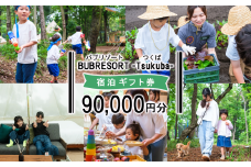 【ふるさとeチケット】 BUB RESORT Tsukuba 利用クーポン券 ( 90000円分 ）【 茨城県 つくば市 関東 グランピング 宿泊券 宿泊チケット 宿泊補助券 宿泊利用券 キャンプ リゾート 大自然 体験 体験型 アクティビティ 宿泊 家族 子供 子連れ ファミリー 食事 フレンチ ニューオープン バブリゾート BUB BUBRESORT サウナ  夏休み 】