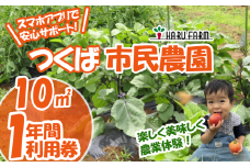 【専用スマホアプリがサポート！】ハルファームの市民農園利用券　(10㎡ 1年分) 【 茨城県 つくば市 農園 貸農園 貸し農園 農業体験 農業 野菜収穫 体験 野菜体験 チケット 旬野菜 採れたて野菜 】
