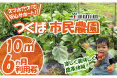 【専用スマホアプリがサポート！】ハルファームの市民農園利用券　(10㎡ 6ヵ月分) 【 茨城県 つくば市 農園 貸農園 貸し農園 農業体験 農業 野菜収穫 体験 野菜体験 チケット 旬野菜 採れたて野菜 】