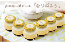 CocoRoプリン 6個セット（ ギフト包装 ＋ メッセージシール「ありがとう」 ）【 茨城県 つくば市 プリン スイーツ 生クリーム カスタードクリーム バニラ 牛乳 卵 国産 甘味 お菓子 デザート ギフト 】