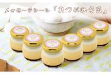 CocoRoプリン 6個セット（ ギフト包装 ＋ メッセージシール「おつかれさま」 ）【 茨城県 つくば市 プリン スイーツ 生クリーム カスタードクリーム バニラ 牛乳 卵 国産 甘味 お菓子 デザート ギフト 】