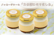 CocoRoプリン 3個セット（ ギフト包装 ＋ メッセージシール「お世話になりました」 ）【 茨城県 つくば市 プリン スイーツ 生クリーム カスタードクリーム バニラ 牛乳 卵 国産 甘味 お菓子 デザート ギフト 8000 】