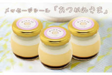 CocoRoプリン 3個セット（ ギフト包装 ＋ メッセージシール「おつかれさま」 ）【 茨城県 つくば市 プリン スイーツ 生クリーム カスタードクリーム バニラ 牛乳 卵 国産 甘味 お菓子 デザート ギフト 8000 】
