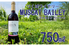 2021つくばワイナリー MUSCAT BAILEY A  【 お酒 葡萄 ぶどう ブドウ 茨城県産 つくば市産 ワイナリー 】
