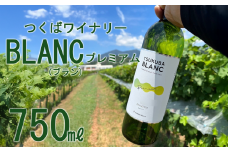 つくばワイナリー TSUKUBA BLANC プレミアム 【 お酒 葡萄 ぶどう ブドウ 茨城県産 つくば市産 ワイナリー 】