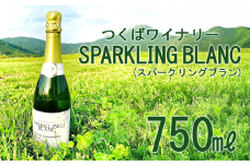 つくばワイナリー SPARKLING BLANC (スパークリングブラン) 【 お酒 葡萄 ぶどう ブドウ 茨城県産 つくば市産 ワイナリー 】